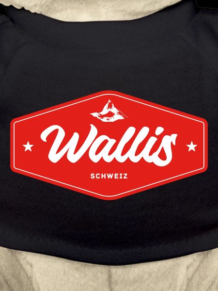 Wallis Alpen Retro Emblem