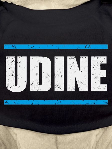 Udine