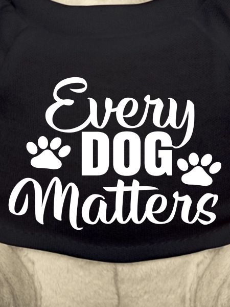 Every Dog matters
