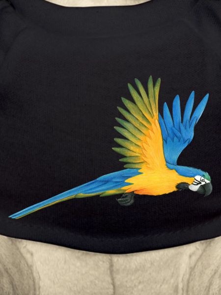 Macaw Parrot