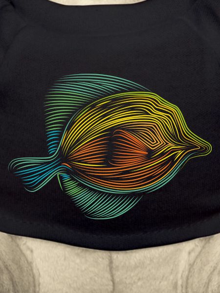 Bunter Fisch