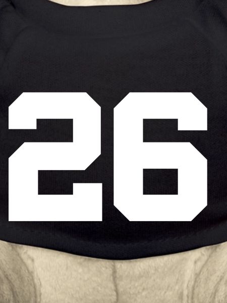 Number 26