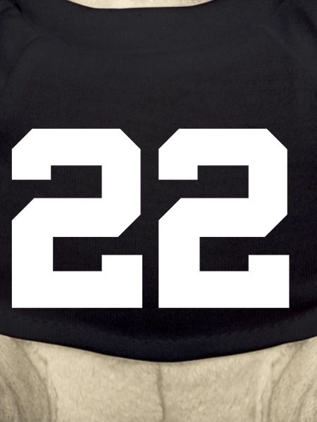 Number 22