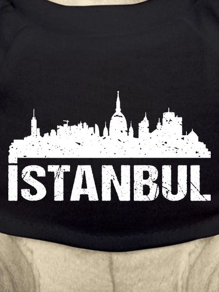 Istanbul Skyline