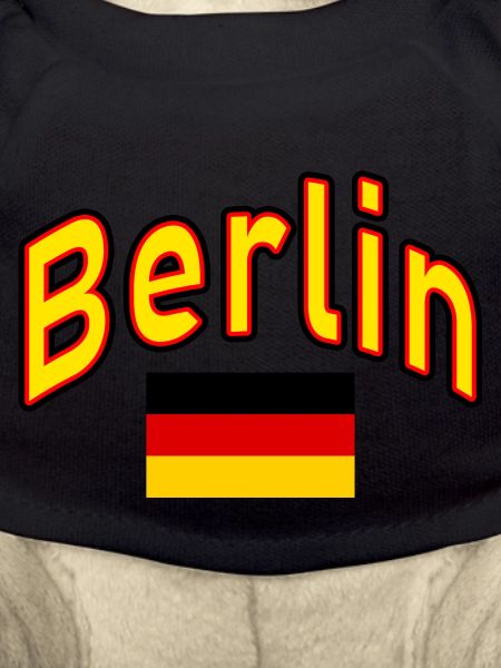 Berlin germany flag