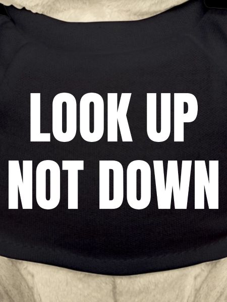 Look Up Not Down