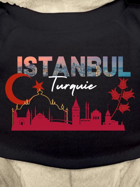 Istanbul Turkiye Skyline