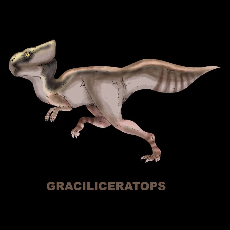 GRACILICERATOPS