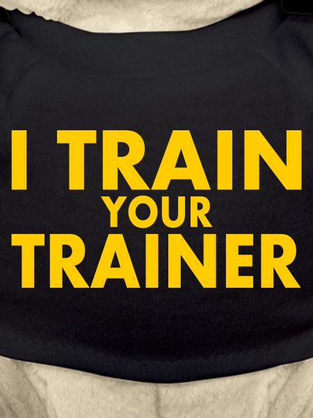 I train your trainer
