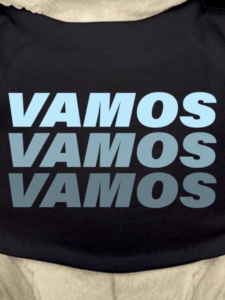 Vamos