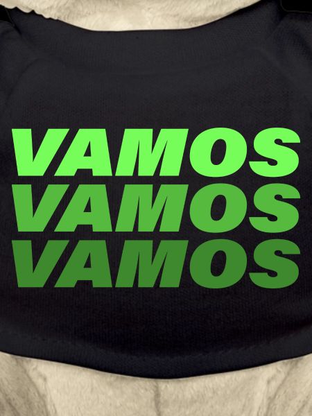 VAMOS