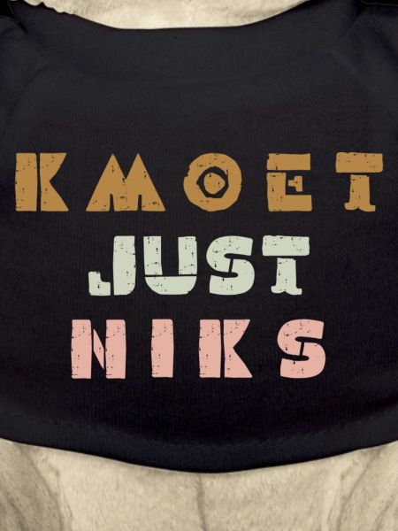 Kmoet just niks, Antwerps dialect