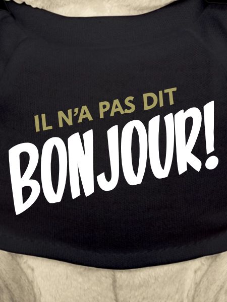 Il n'a pas dit bonjour!