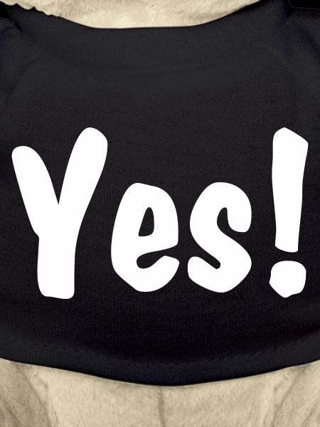 Yes!