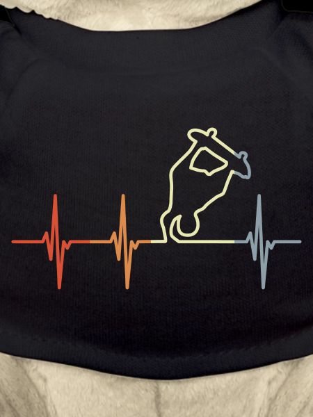 Skateboarder Cardiogram