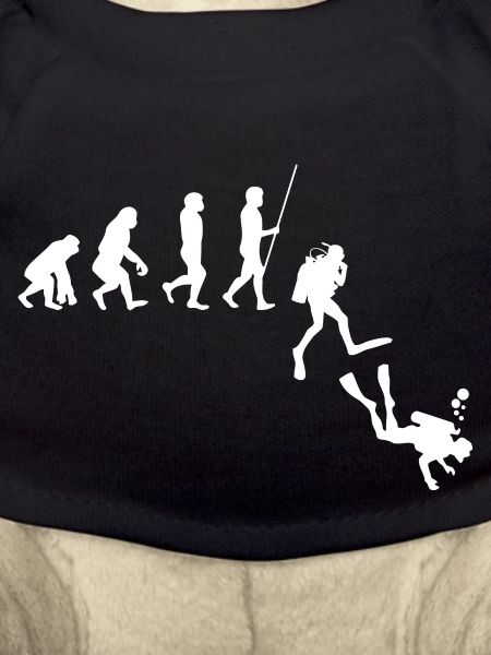 Revolution