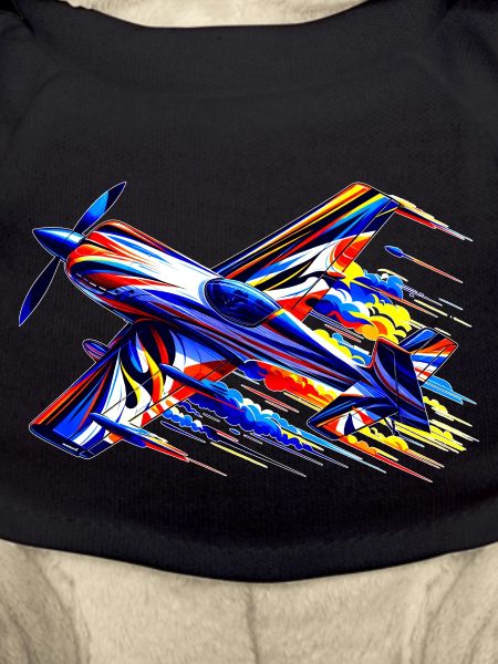 Kunstflugzeug 2