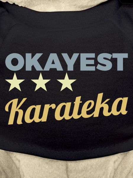 Okayest Karateka
