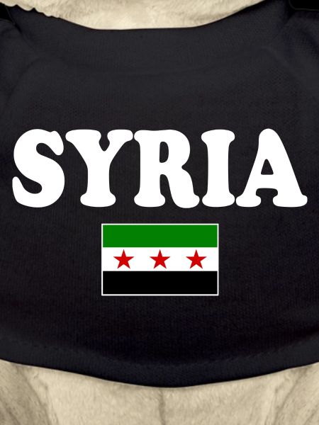 Syria Flag