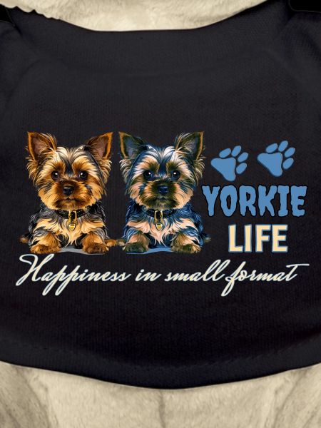 Chiots Yorkie