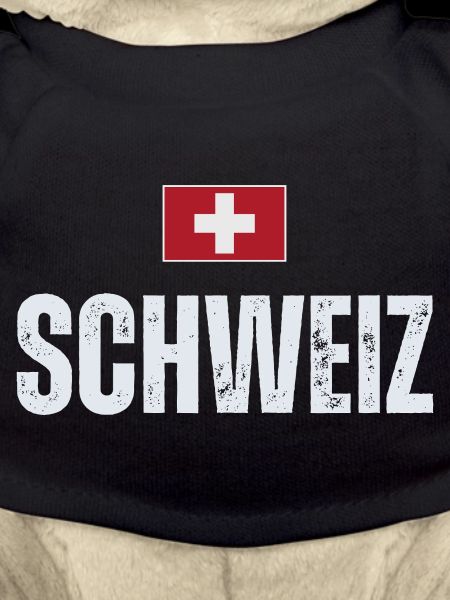 Schweizer Flagge, Schweizer Patriot