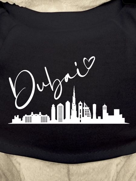 Dubai – Skyline of Dreams