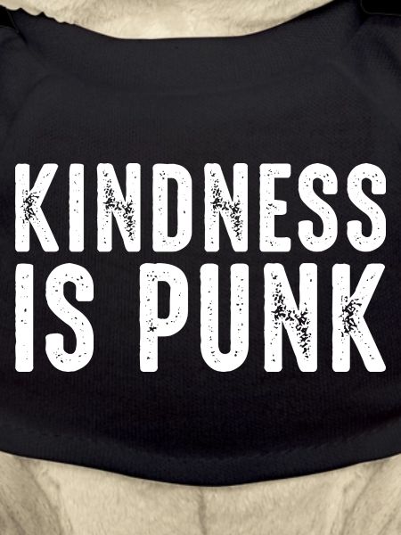 Freundlichkeit ist Punk