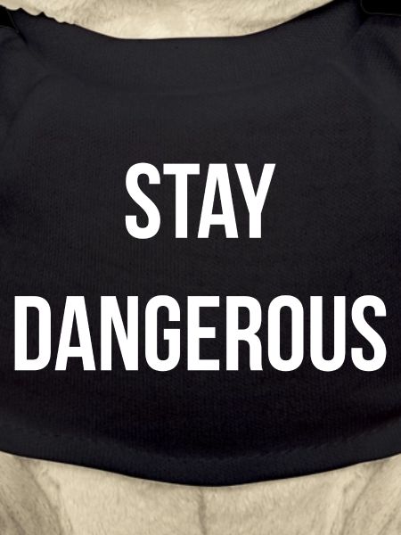 STAY D. | Greyline Official