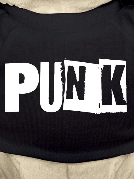 Logo de la musique punk