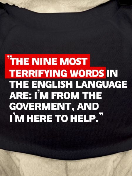 Satirical government quote