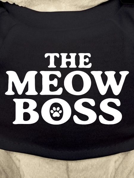 The Meow Retro Serif Design