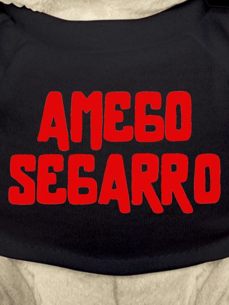 AMEGO SEGARRO