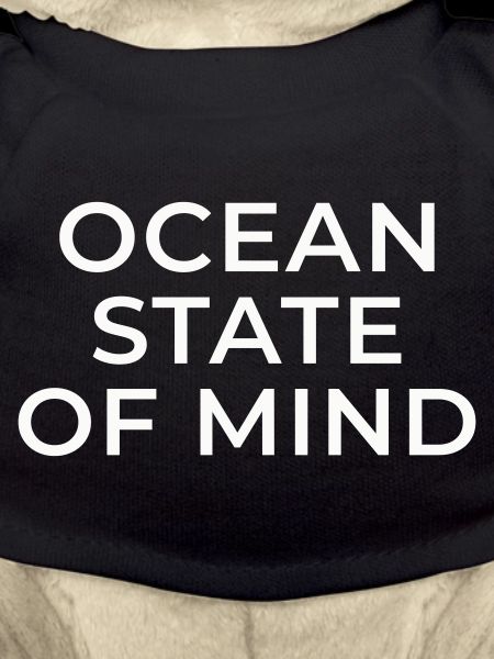 Ocean state