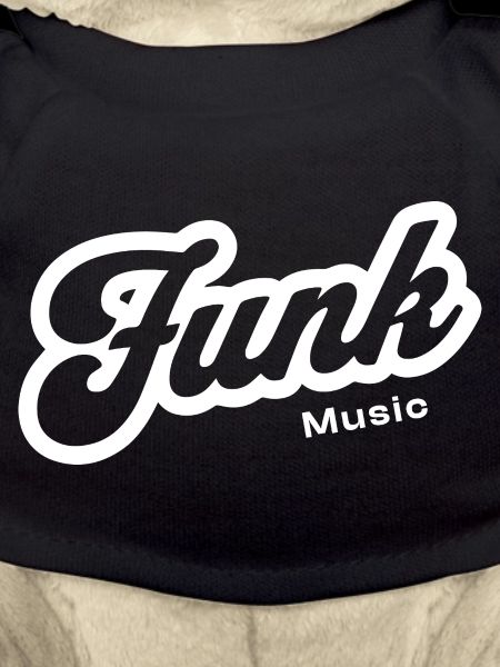 Funk Music Retro Script Logo