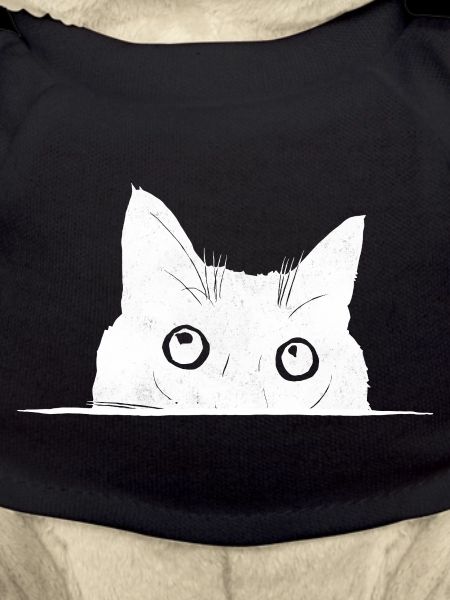 Guckende Katze