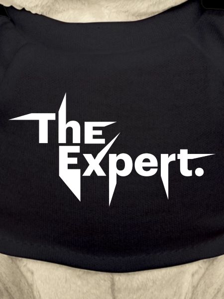 The Expert , Statement, Know-It-All
