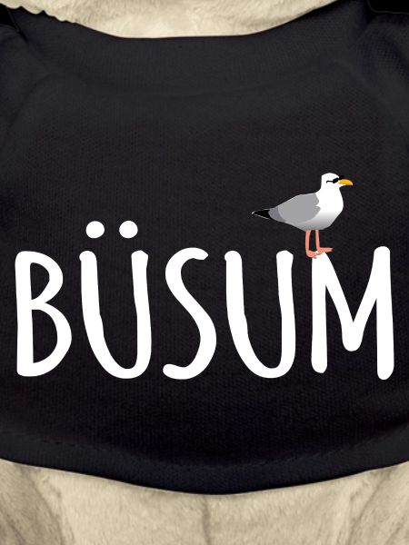 Büsum Möwe