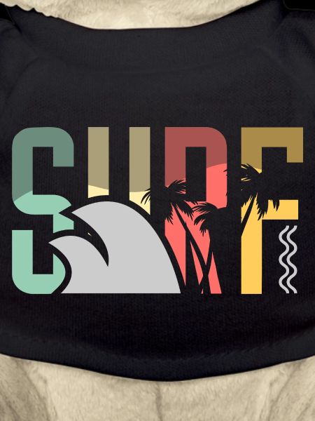 Surf Surfen Surfer