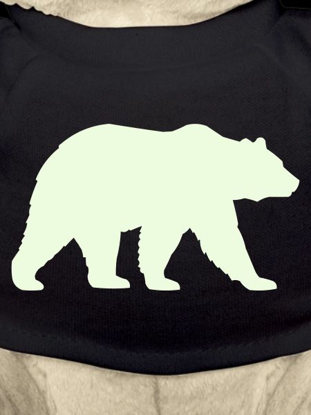 grizzly_baer-