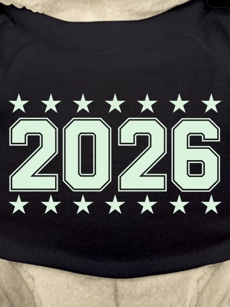 2026 Retro Blockschrift mit Sternen