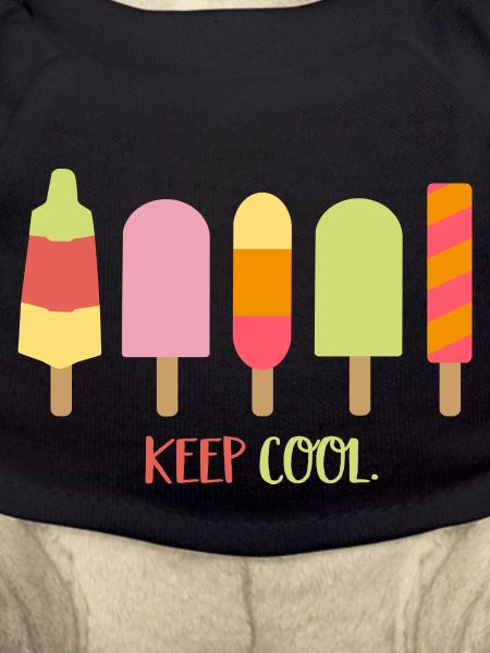 EIS