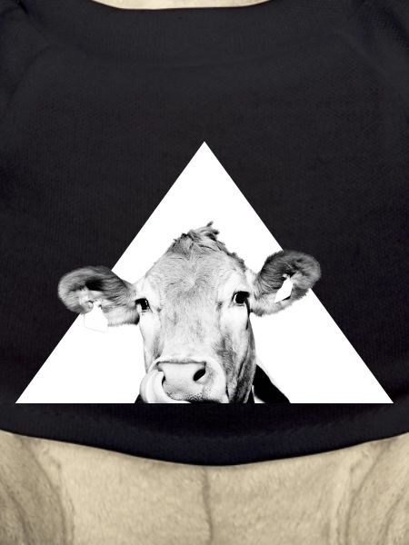 Cool cow