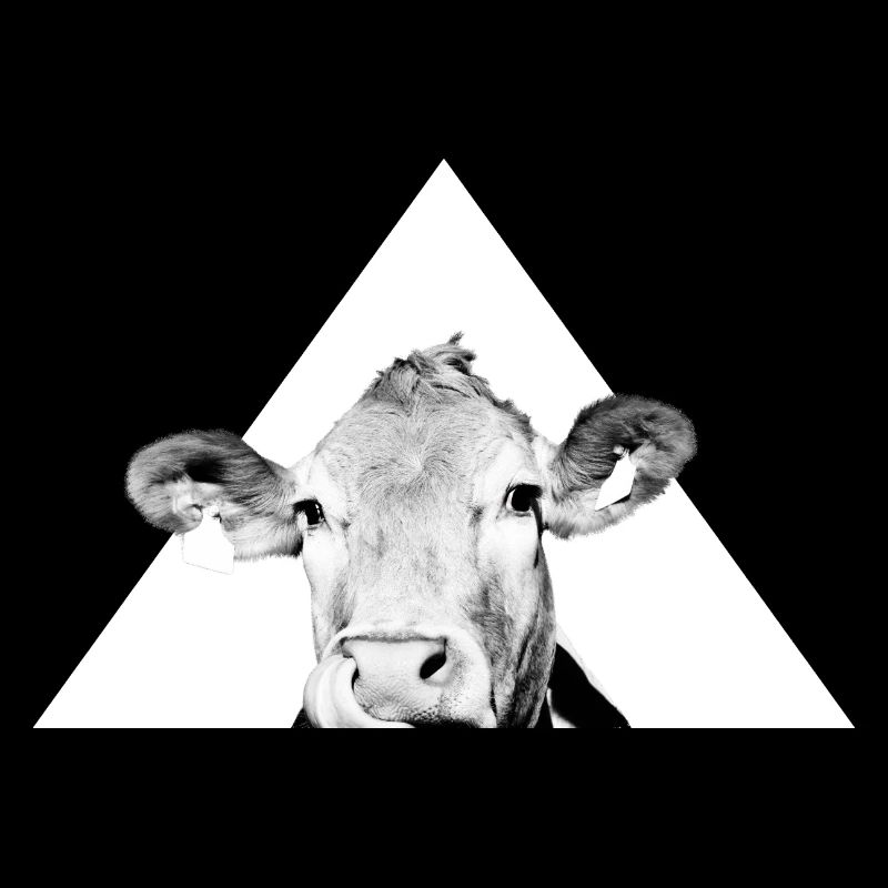 Vache fraîche