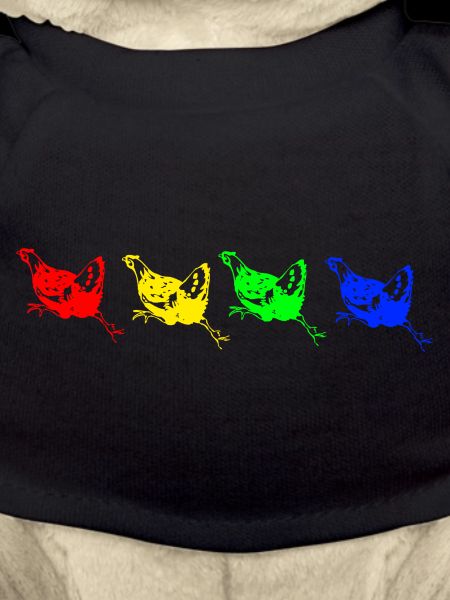 Rainbow chicken
