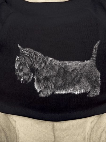 Scottish Terrier UB