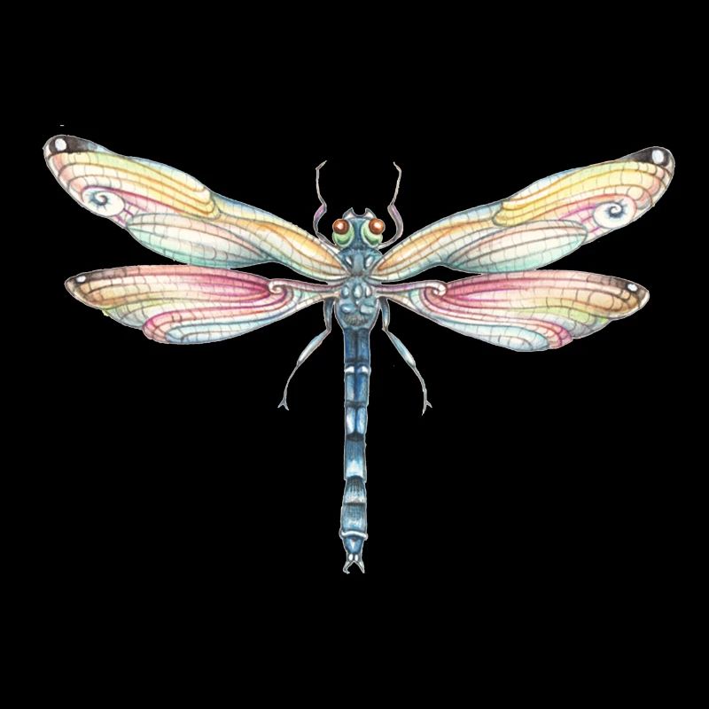 Libelle No1 - Regenbogenlibelle - Regenbogen -