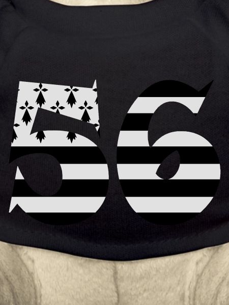 56 Britain flag
