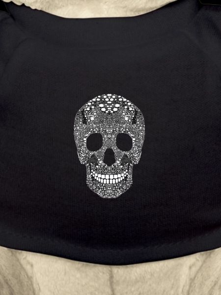 Santa Maria skull