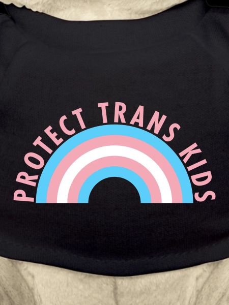 Protect Trans Kids Rainbow