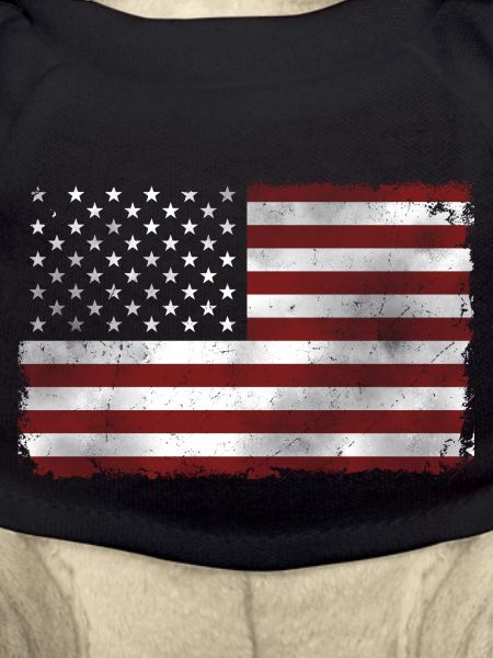 American flag